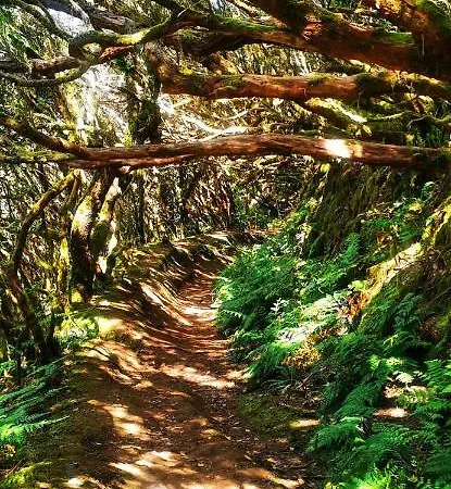 Casa Beta * Buenavista Del Norte