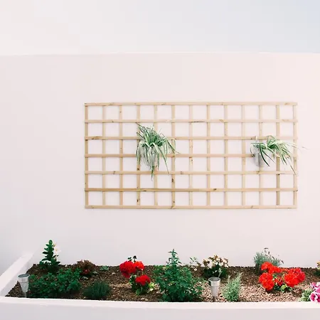 Casa Beta * Buenavista Del Norte