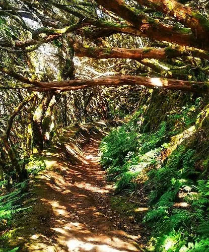 Casa Beta * Buenavista Del Norte